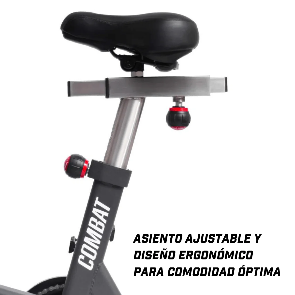 Miniatura 13